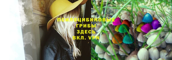 винт Аркадак
