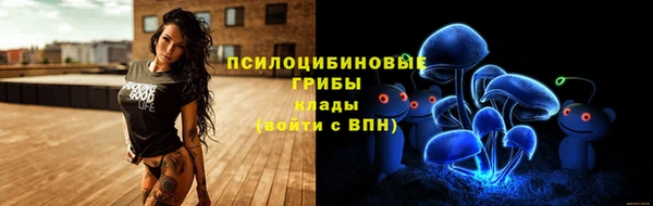 герыч Арсеньев