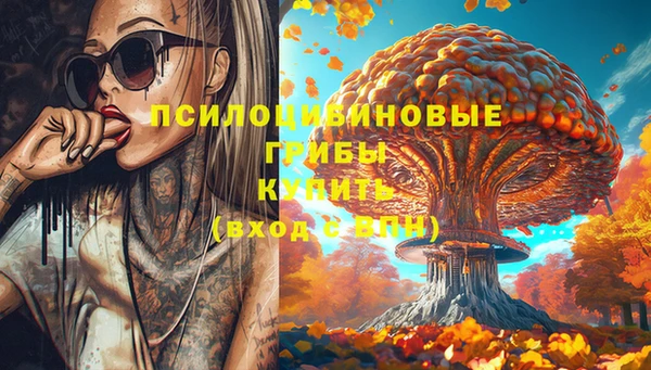 герыч Арсеньев