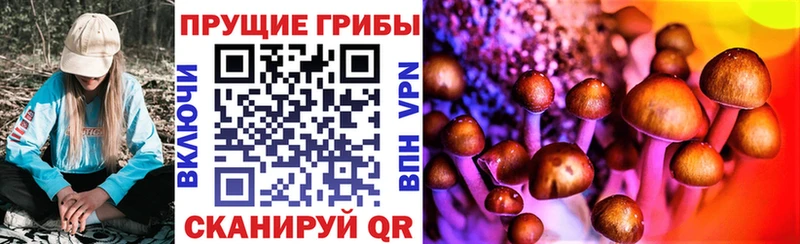 купить   Ивдель  Галлюциногенные грибы мухоморы 